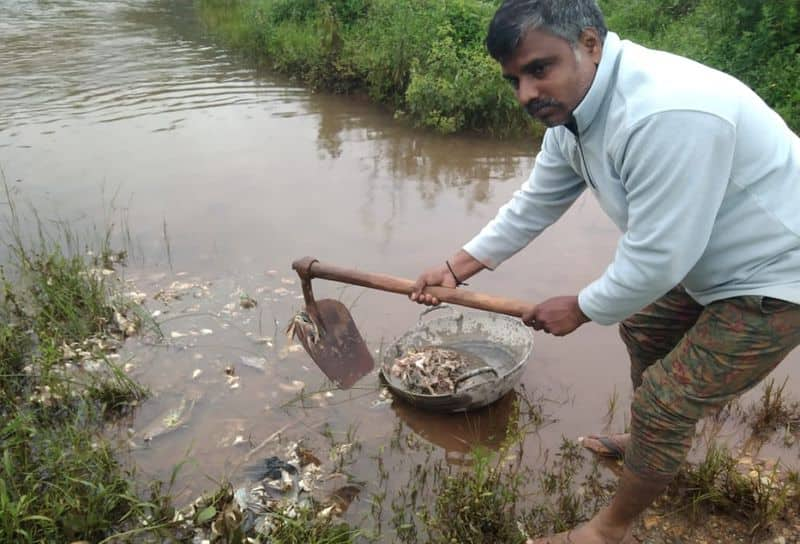 Hemavati River Water Contagion Fear by Fishmongers and Drivers of Goods Vehicles gvd