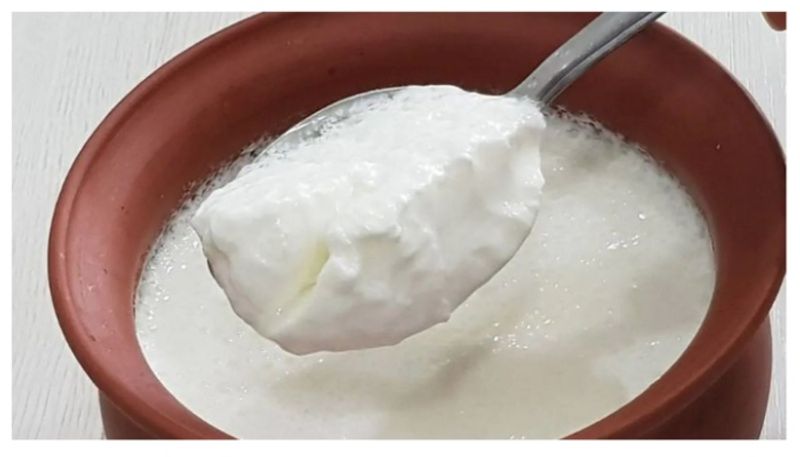 Reasons You Should be Eating Curd Daily