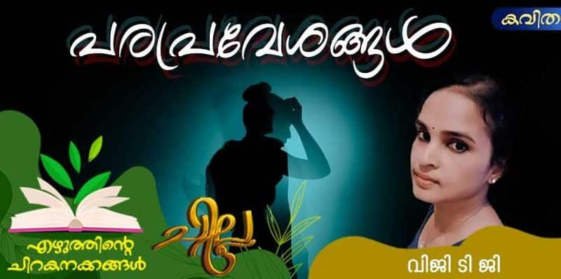 chilla Malayalam poem by Viji TG