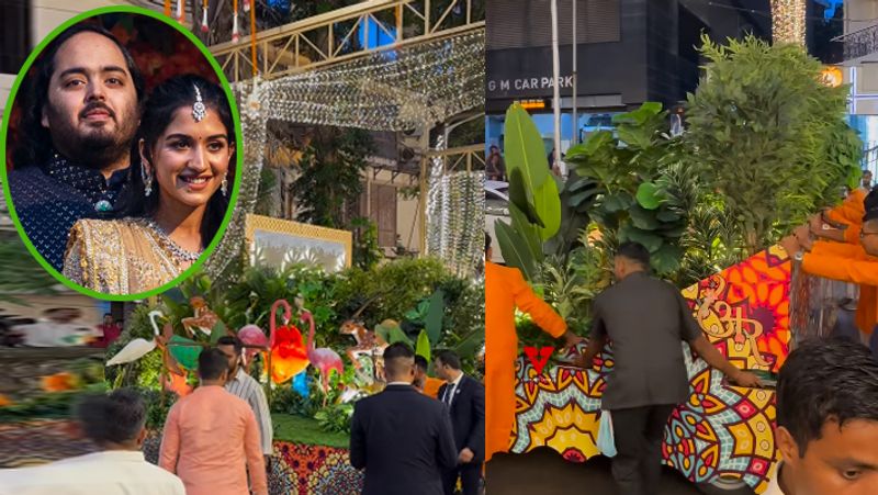 Ananth Ambani Radhika marriage jungle themed rath trolled as it makes from plastic suc