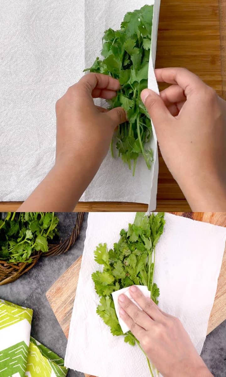 Tips to keep Coriander leaves Fresh for a Week