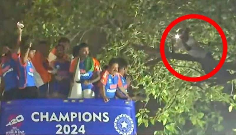 T20 WC champions' victory parade: Internet stunned as fan spotted on tree close to Team India's bus (WATCH)