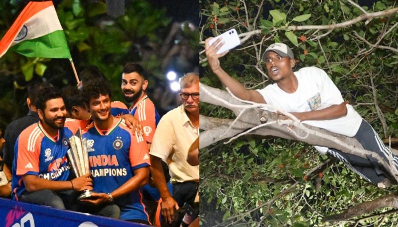 Fan Climbs Tree To Watch Team India's Victory Parade, Rohit Sharma and Virat Kohli Responds