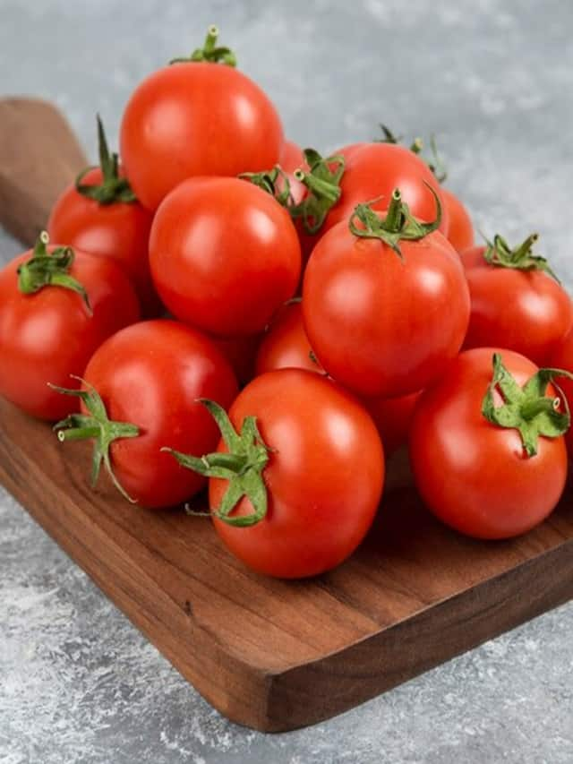 Tomato price reach rs 80 per kg after heavy rainfall in Himachal pradesh  ckm