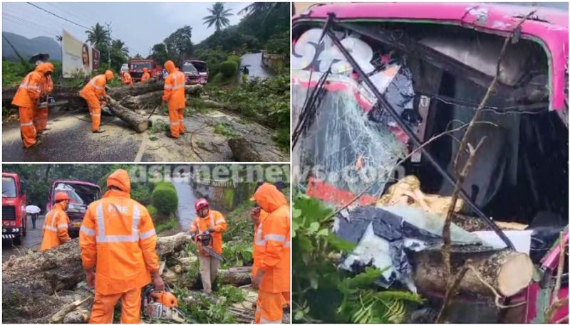 video of Tree fell on the top of the bus while it was running in adimali 