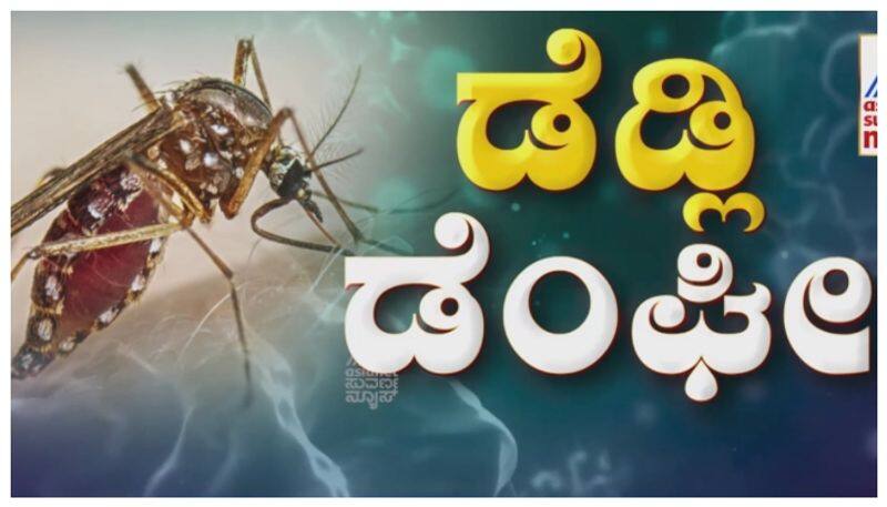 Dengue cases in hassan increasing every day  nbn