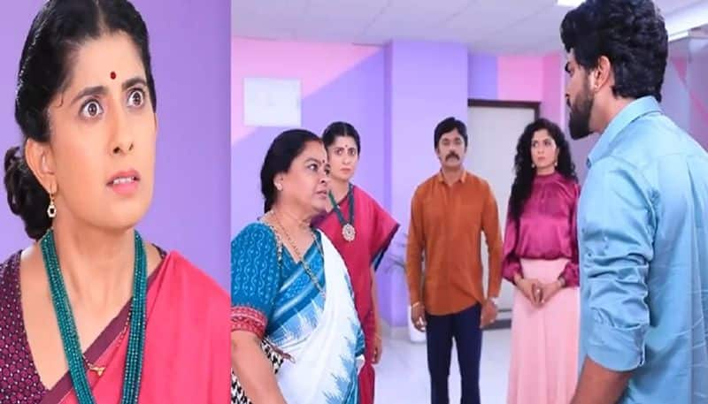 Vaishnavi understands his love for lakshmi in Lakshmi Baramma serial pav