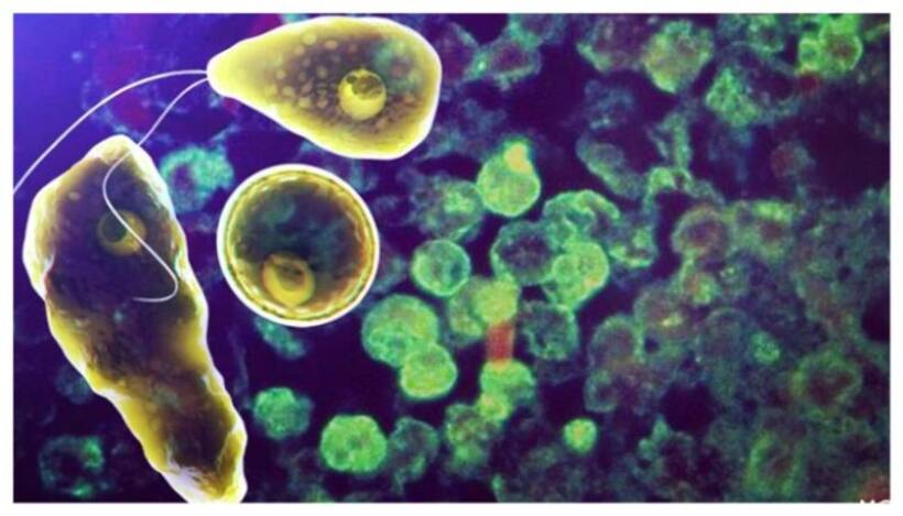Kerala: Amoebic Encephalitis antidote Miltefoscin to reach Thiruvananthapuram from Germany