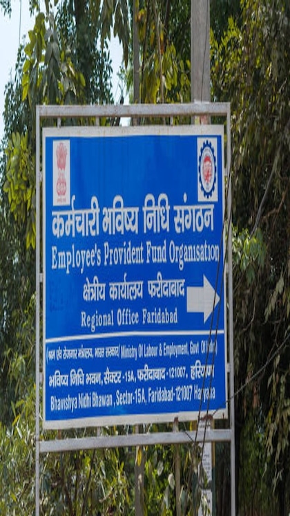 How to open a PPF account online? Check