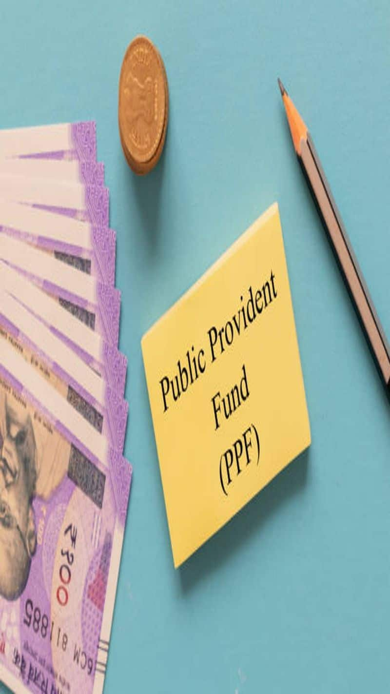 PPF Latest Rate What is the Public Provident Fund interest rate for July-September 2024 quarter? Check details here  XSMN