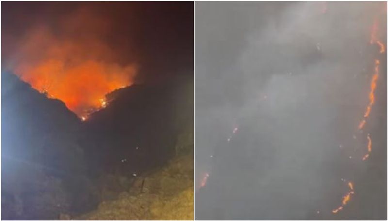 massive fire breaks out in albaha mountain area 