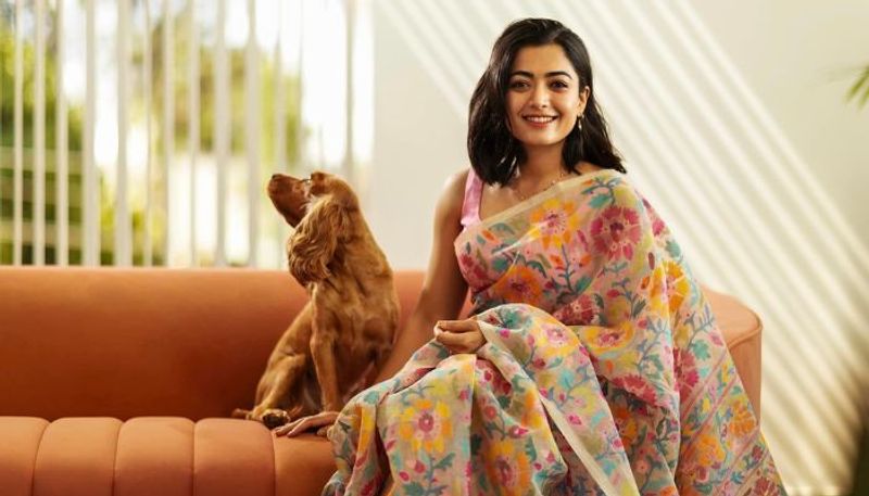 rashmika mandanna and december sentiment will actress creates hat trick this year mrq