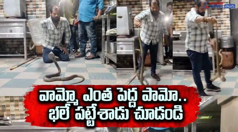 snake caught  in office 