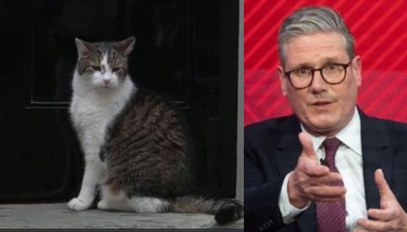 Meet Larry the Cat chief mouser who welcomed sixth UK Prime Minister