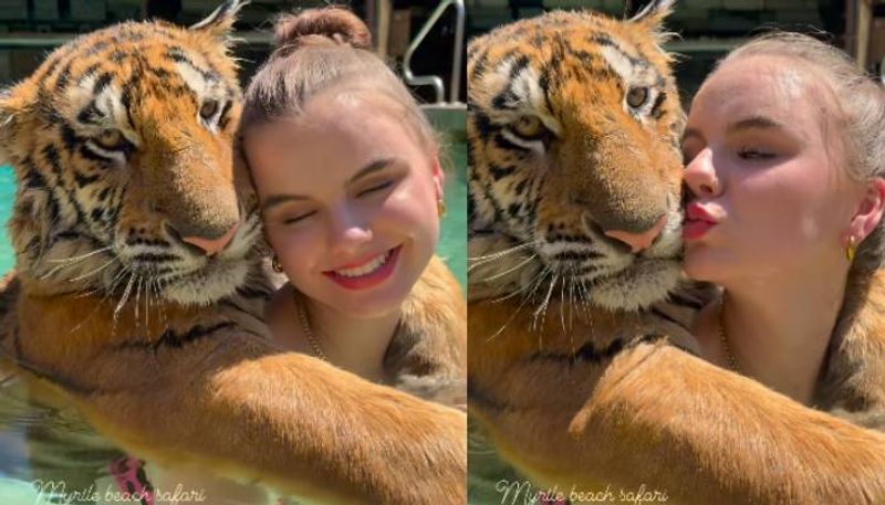 woman with tiger in swimming pool video went viral 