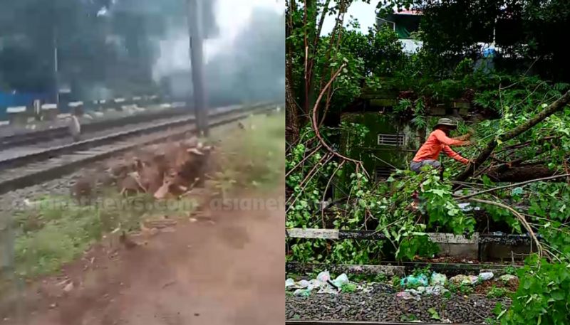 Kerala: Tree on tracks disrupt train services in Ernakulam catches fire anr