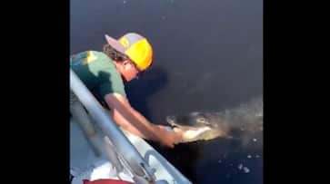 Viral Video Shows Man Using Alligator to Open Beer Can [WATCH] NTI