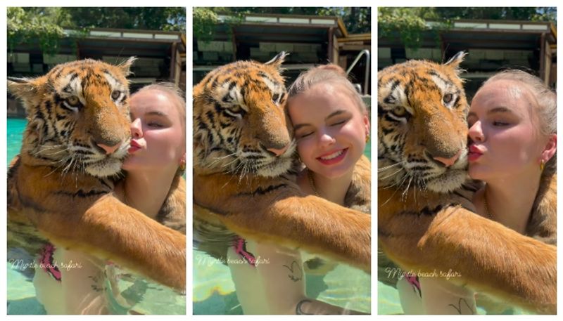 Video of woman kissing tiger goes viral 