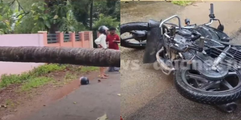 biker seriously injured after hitting coconut tree that had fallen across the road in thrissur