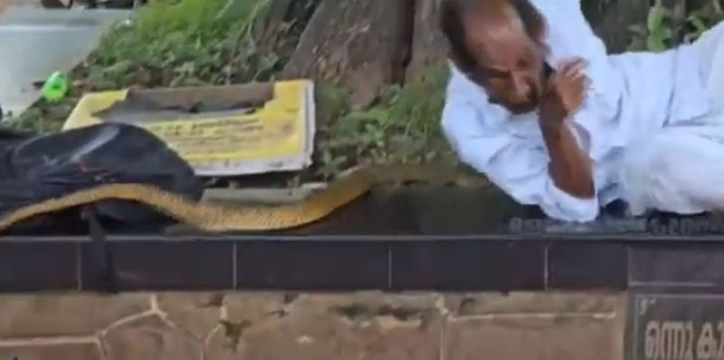 snake crawling through body of old man who resting under the shade of peepal tree in Kodungallur