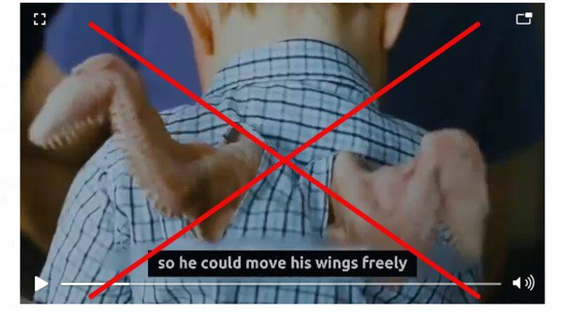 Fact Check a baby born with a pair of wings video is not real