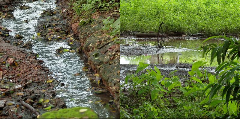 hospital waste water flows into residential area in kannur 