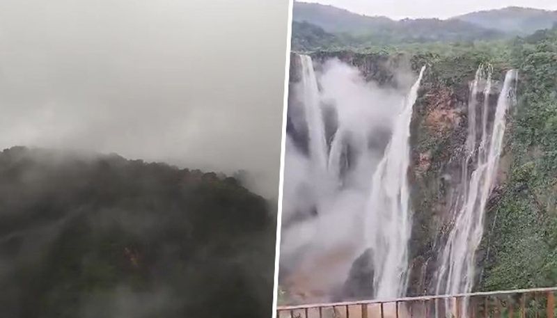 Jog falls