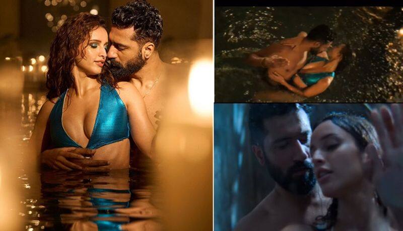 Bad Newz Movie vicky kaushal tripti dimri romance photo viral on social media ahead of release ckm