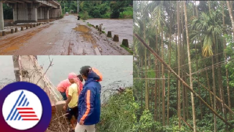 monsoon 2024 malenadu chikkamagaluru heavy rain karnataka rains rav