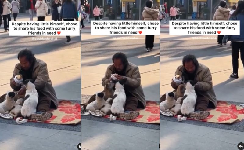 Homeless man share food with stray dogs despite have little himself Video ckm