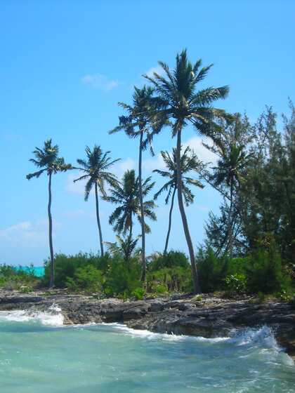 सेशेल्स महाद्वीप (Seychelles)