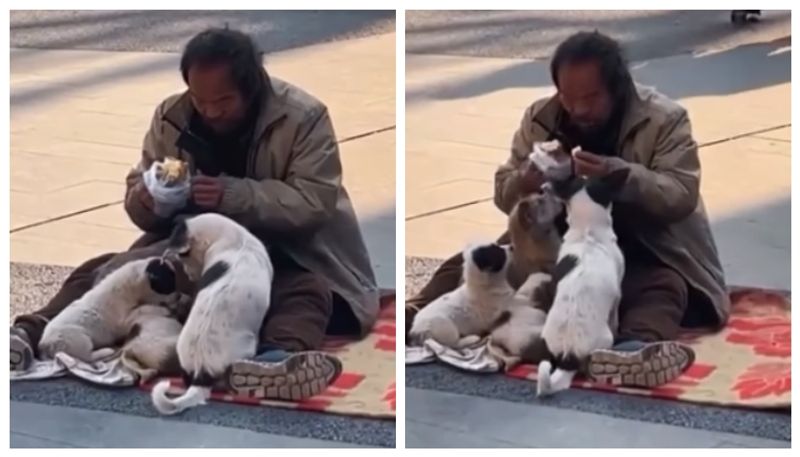 Video of a Homeless Man feeding dogs has gone viral