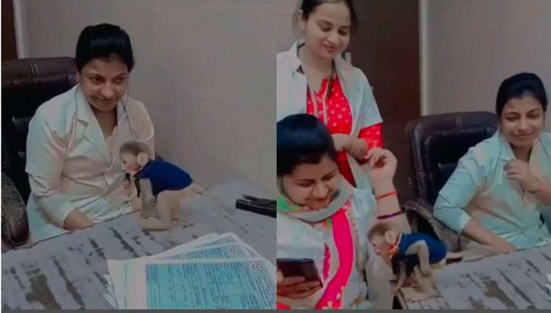 left work playing with monkey uttar pradesh health department suspends six nurses who working in the maternity ward akb