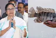  Mamata Banerjee Clarifies: Tilapia Fish Poses No Cancer Risk NTI