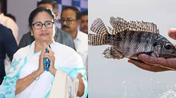  Mamata Banerjee Clarifies: Tilapia Fish Poses No Cancer Risk NTI