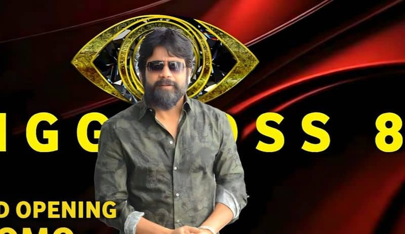 Bigg Boss Telugu 8: బిగ్ బాస్ హౌస్లో కి నందమూరి హీరో.. ఫ్యూజులు అవుట్ అయ్యే న్యూస్! ఎవరో తెలుసా?