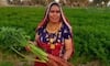 Indian farmer Santosh Devi honored with President's award for carrot farming