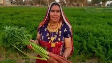 Indian farmer Santosh Devi honored with President's award for carrot farming NTI