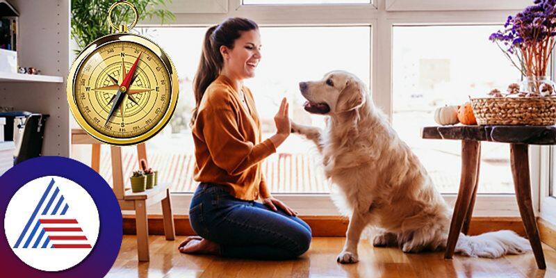 Vaastu tips for pet animals in home