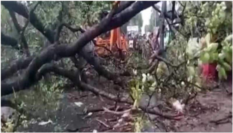 Thunderstorm Lightning hits 30 Dead In Uttar Pradesh heavy rain latest news