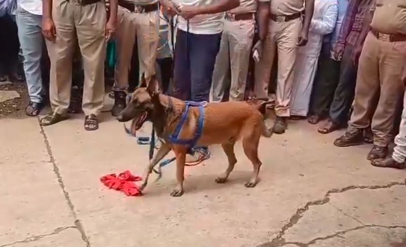 three school going minor boys arrested for rape and murder of 8 year old girl in Andhra pradesh nandyala akb