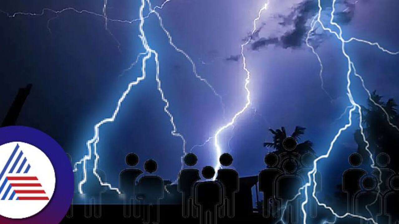 38 killed in a day due to lightning strikes in UP as rain batters state