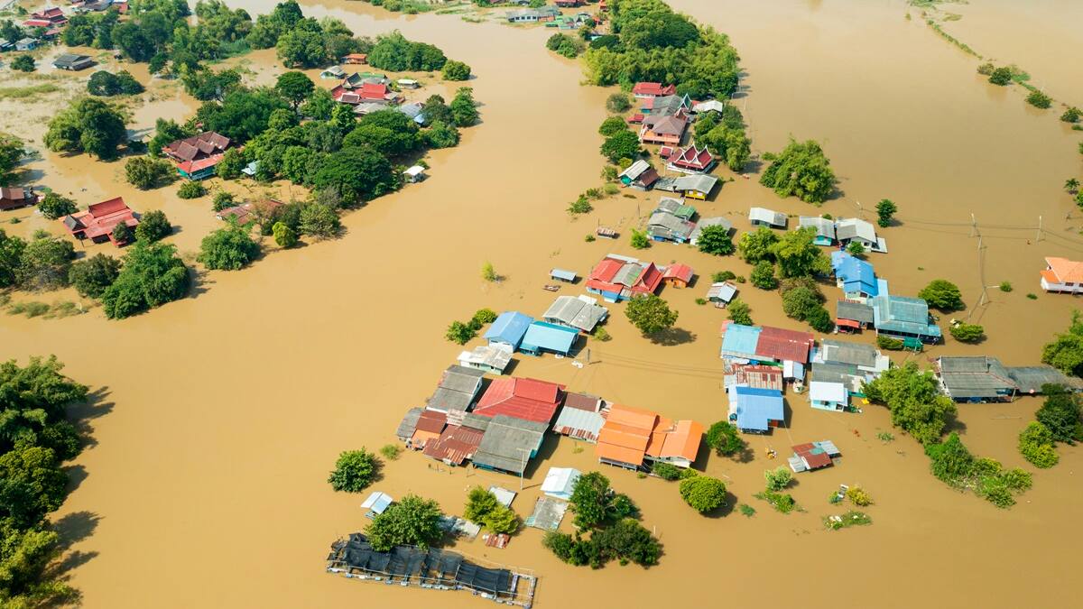 Flood 