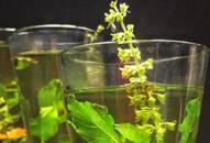 Better skin to oral health: 7 Health benefits of drinking Tulsi water RTM