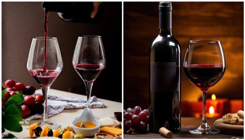 Maharashtra to Himachal Pradesh: Top 5 wine producing regions in India RTM