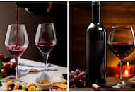 Maharashtra to Himachal Pradesh: Top 5 wine producing regions in India RTM