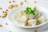 Turning Sour Milk into Homemade Paneer: Step-by-Step Guide NTI 