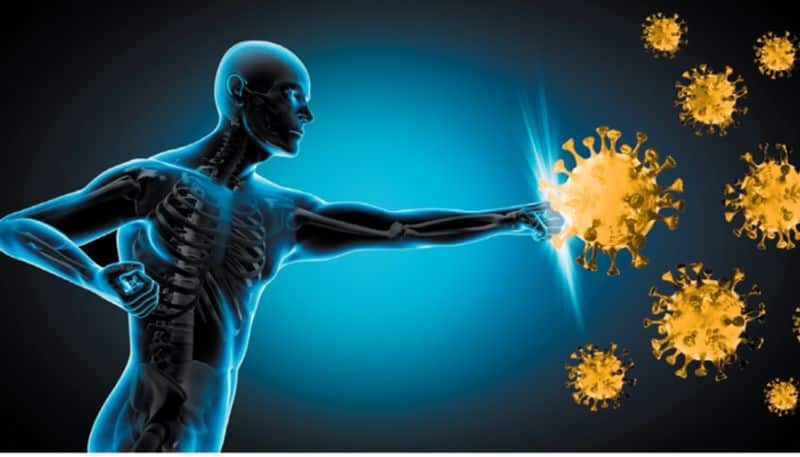 6 Essential nutrients to boost your immune system RTM