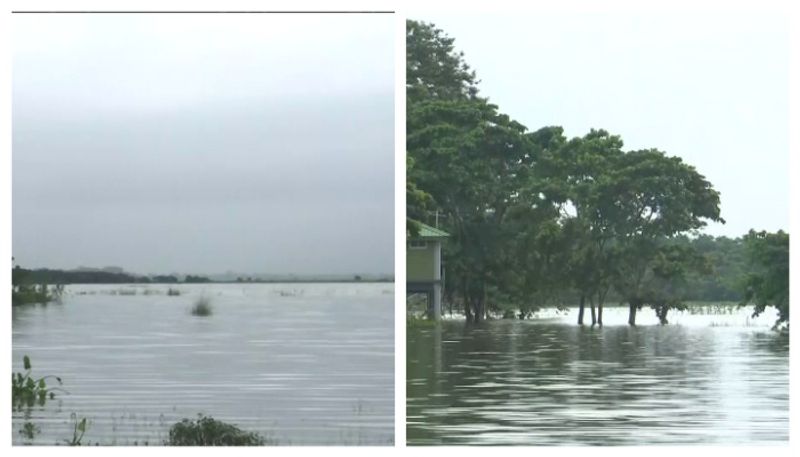 flood in assam death rate 106 heavy rain alert 