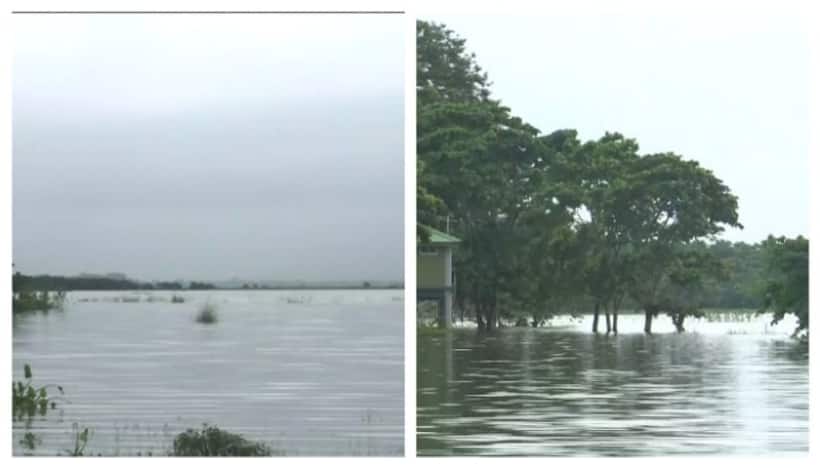 Assam flood: Death toll rises to 90 as situation remains grim; check details